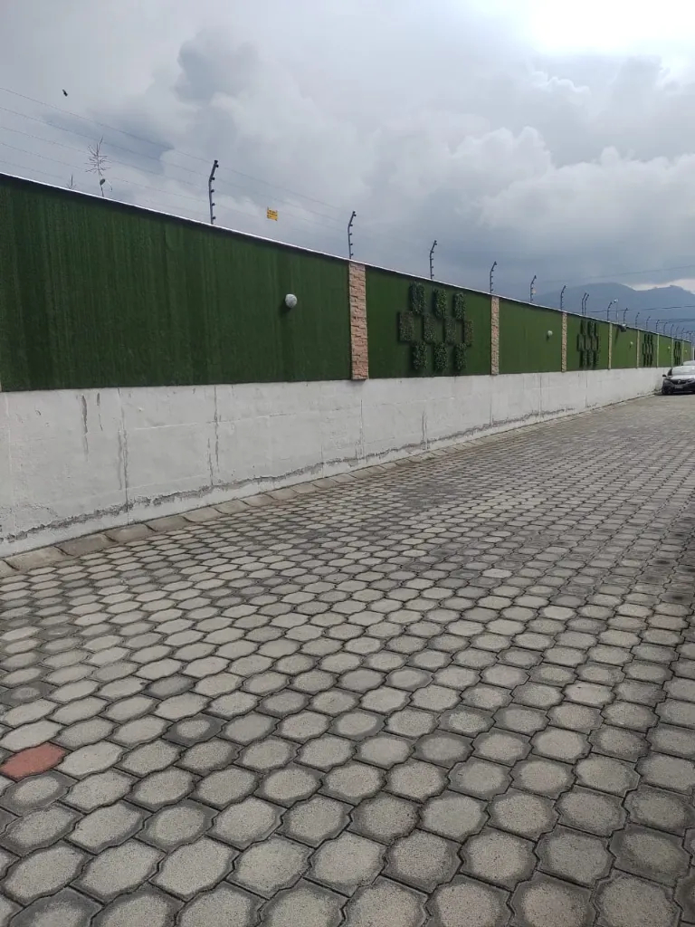 WhatsApp Image 2026-02-07 at 5.41.48 PM.webp