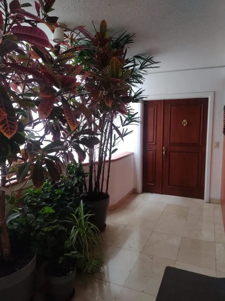 [1] Departamento en Renta en Bellavista   COD 100101